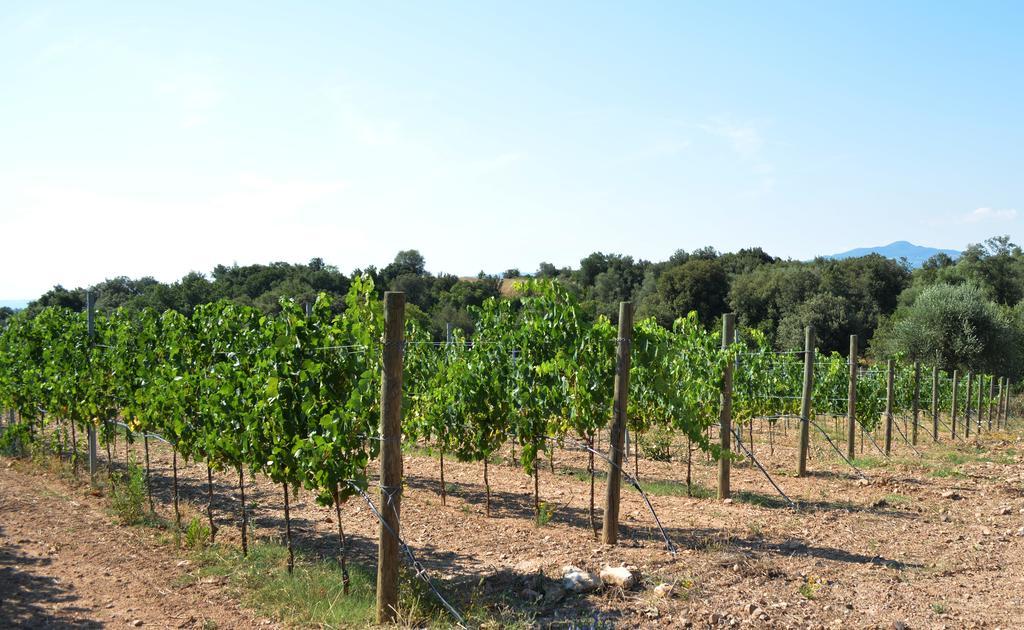 Sticciano Tenuta Di Maro מראה חיצוני תמונה